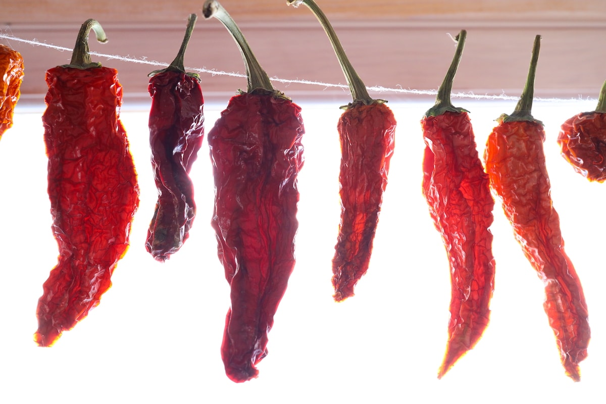 red hot peppers from garden drying on string