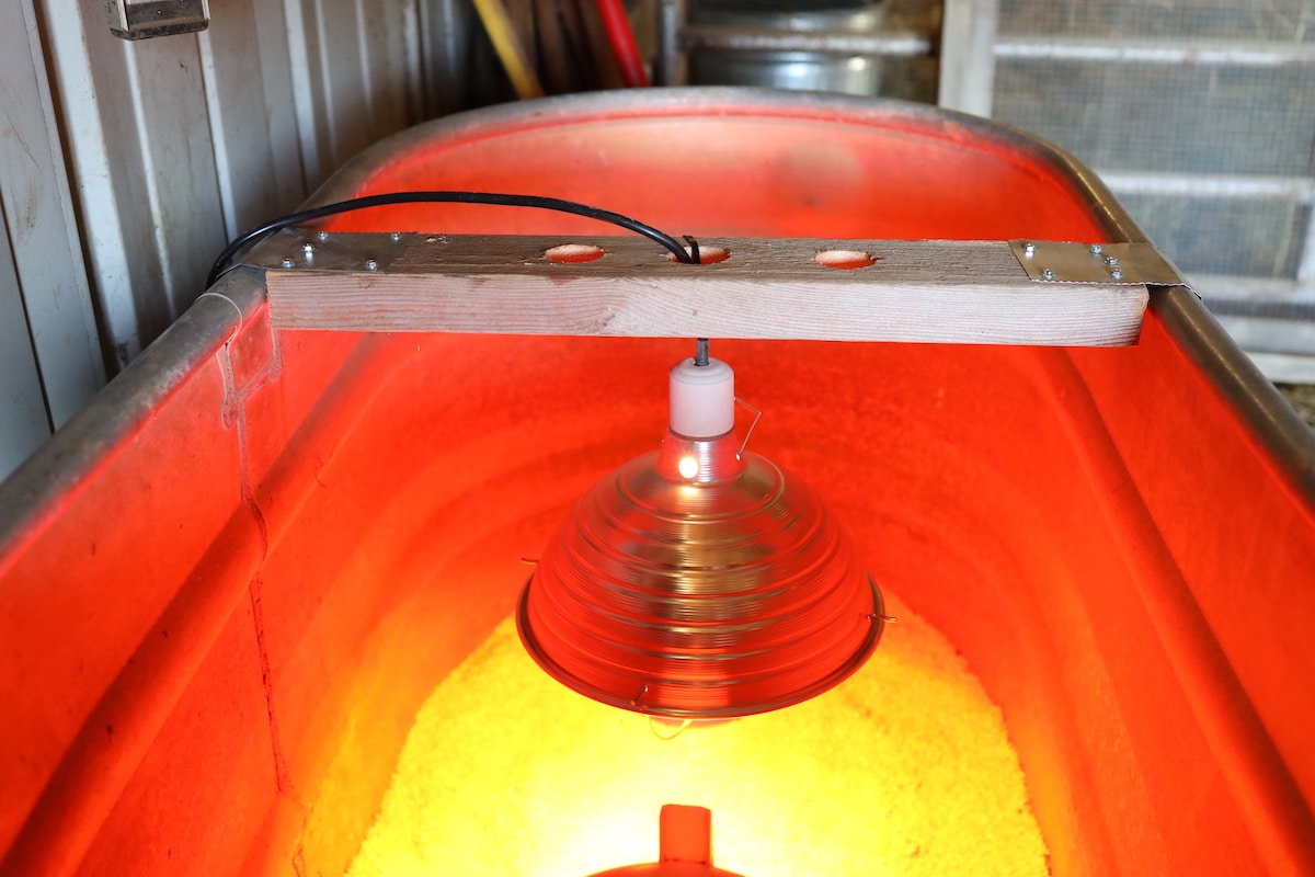 hanging heat lamp in stock tank brooder