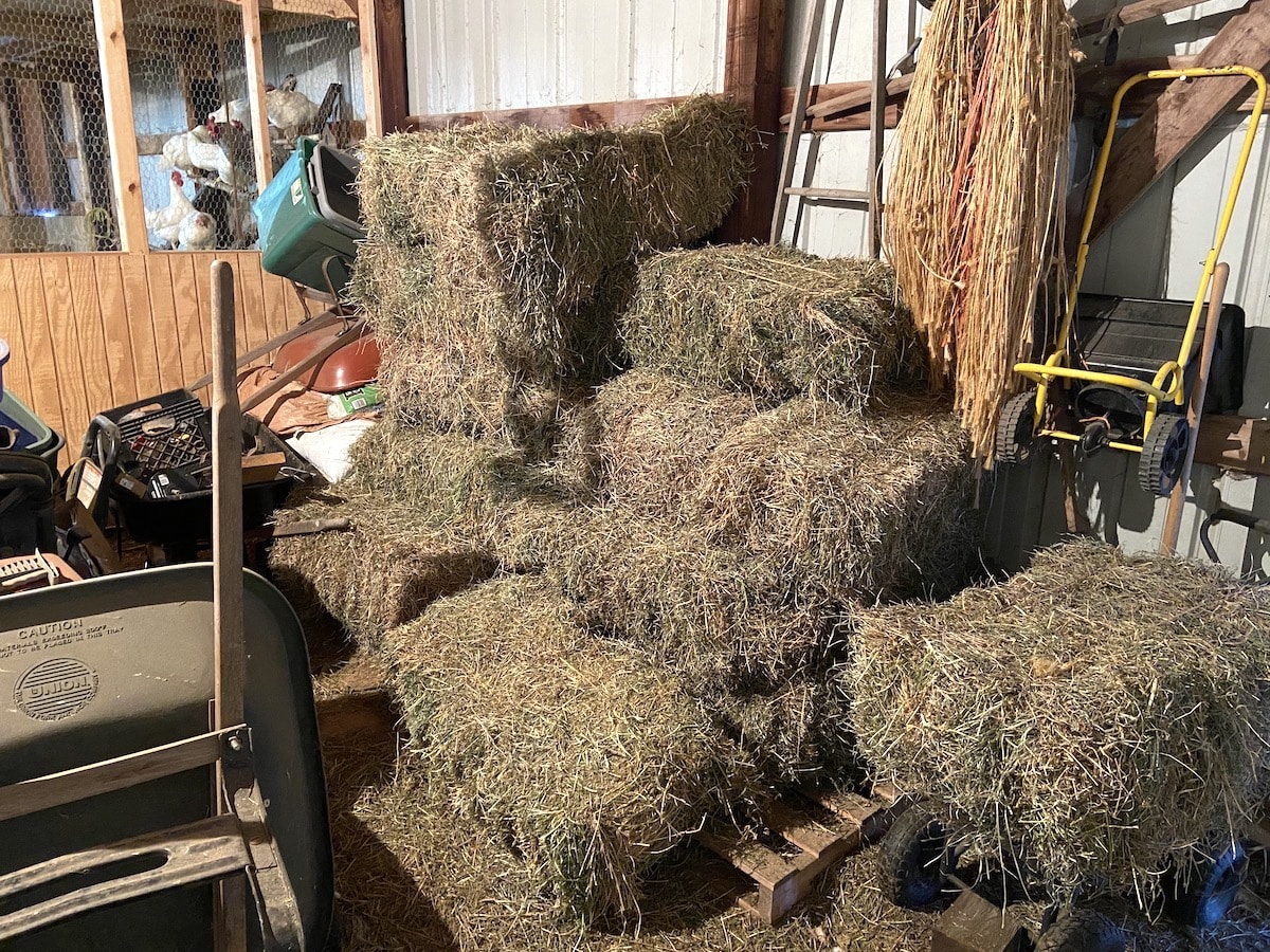 small square hay bales stacked in barn