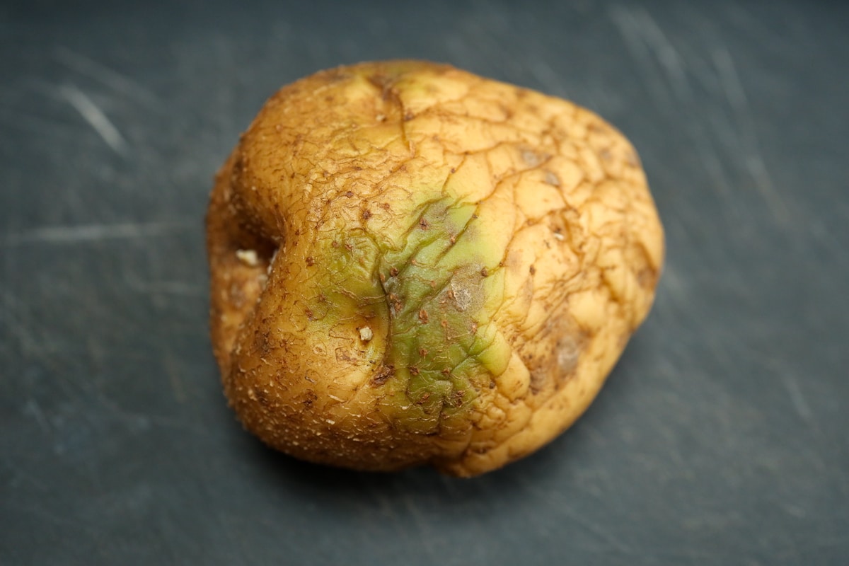 soft potato with green spot