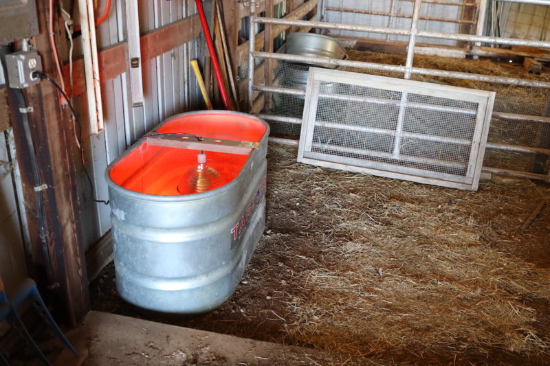 Quick Stock Tank Chick Brooder Box From Scratch Farmstead