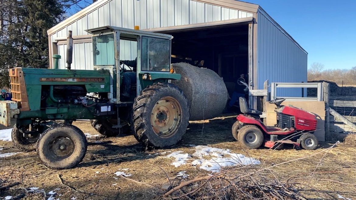 How To Feed Round Hay Bales By Hand From Scratch Farmstead