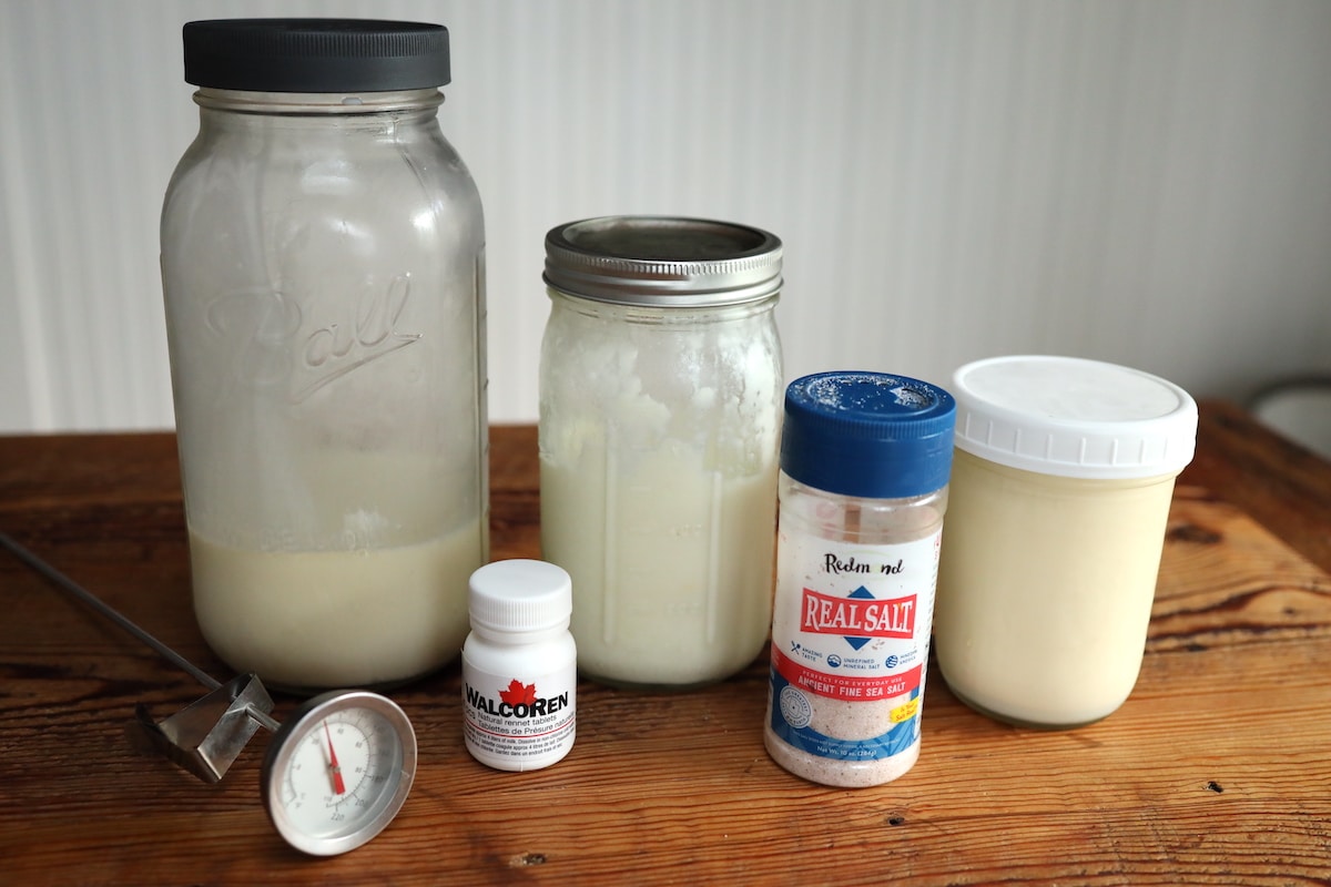 homemade cultured cream cheese ingredients