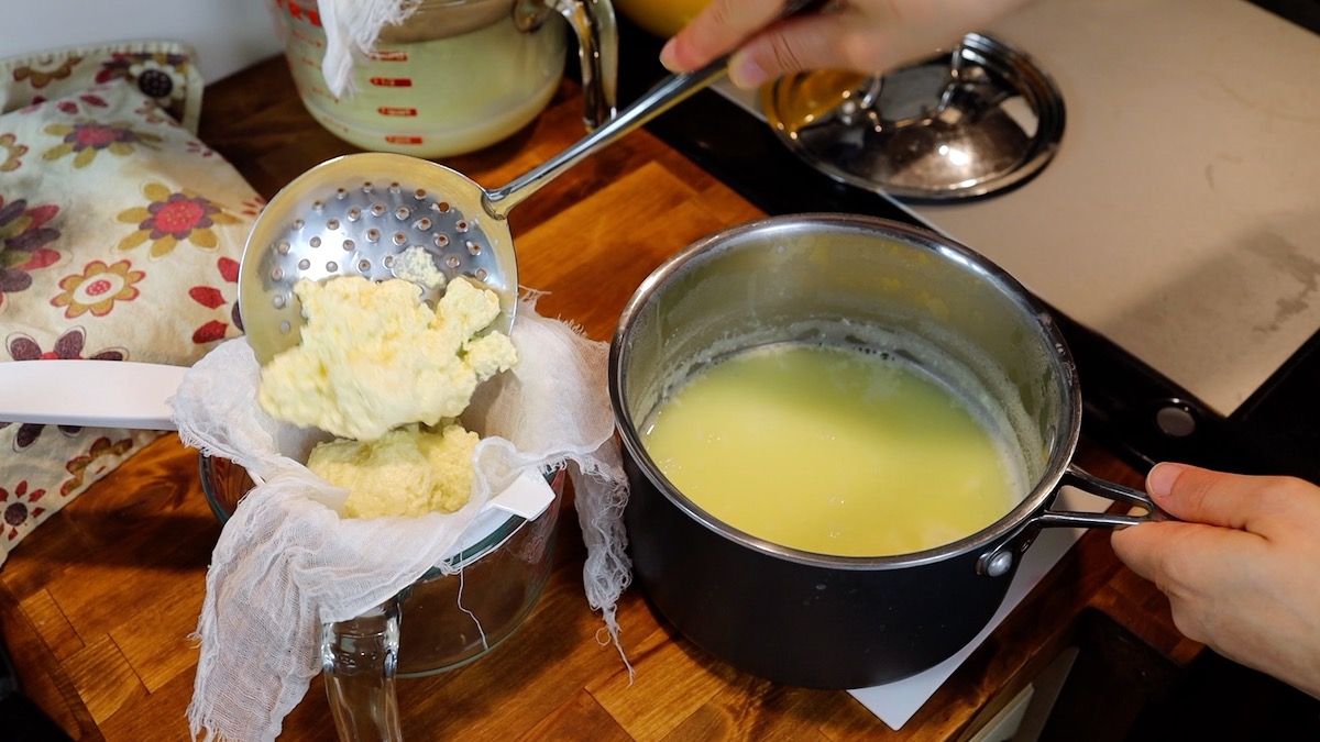 scooping quick cream cheese curd into strainer.jpg