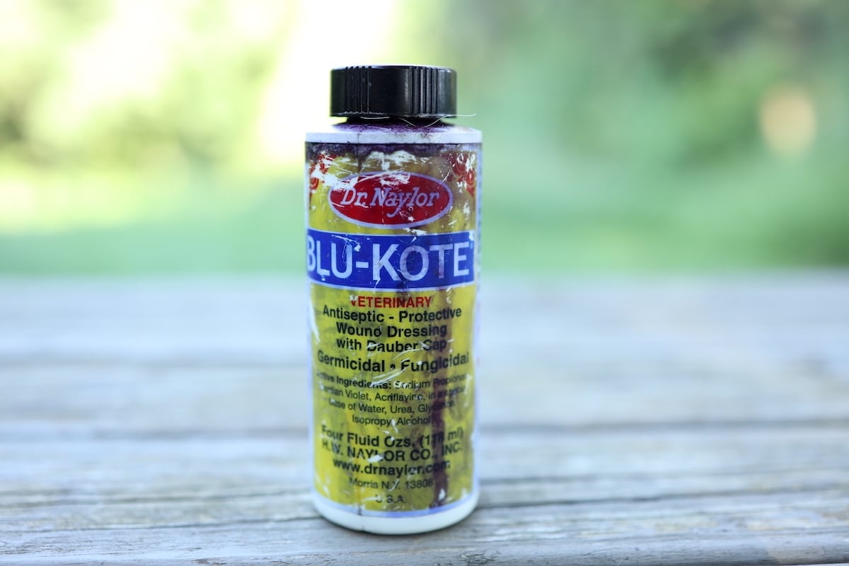 Dr. Naylor Blu-Kote wound dressing for chickens