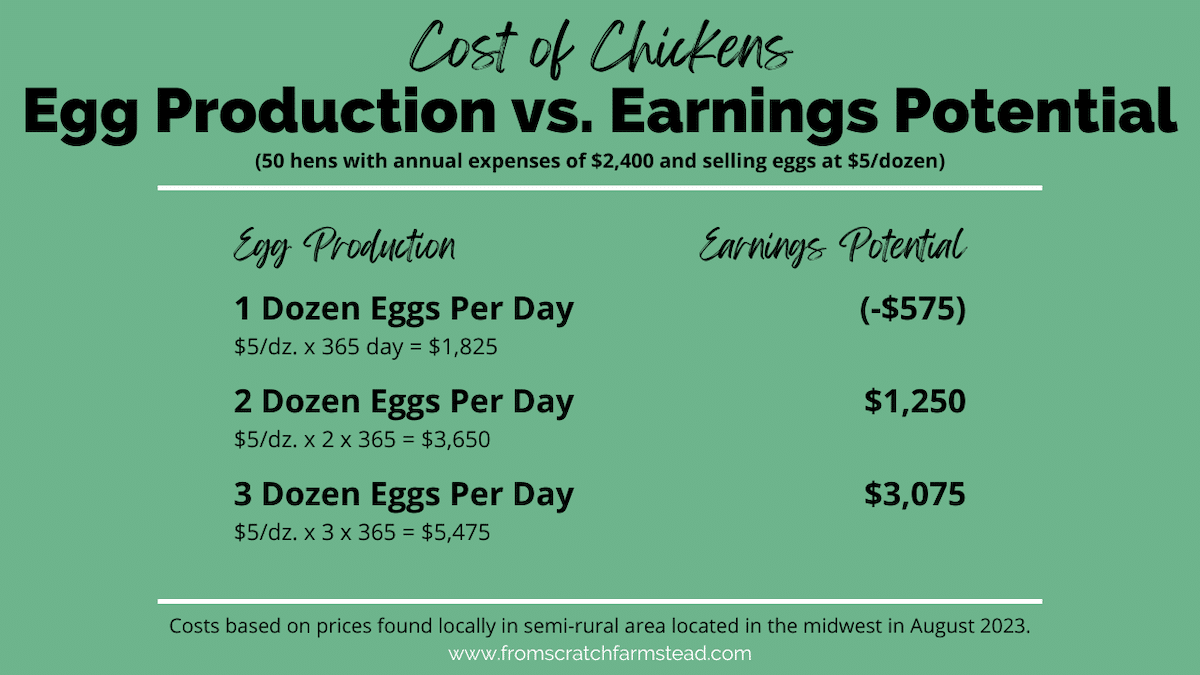 cost of chickens - egg production vs earnings potential