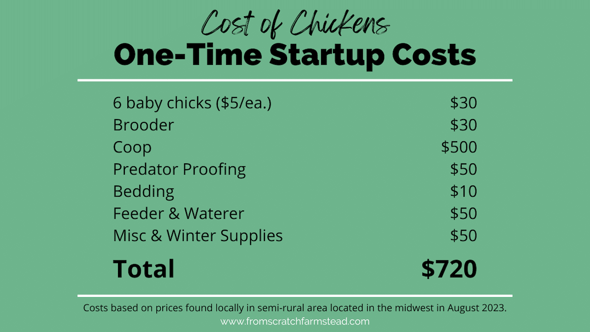 cost of chickens - one time startup costs