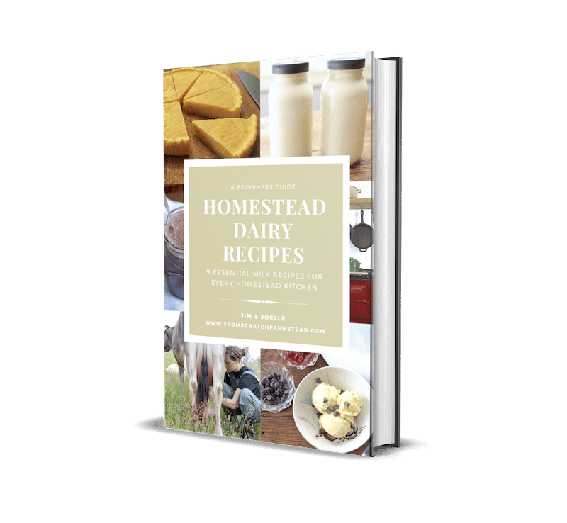 Homestead Dairy Recipes eBook