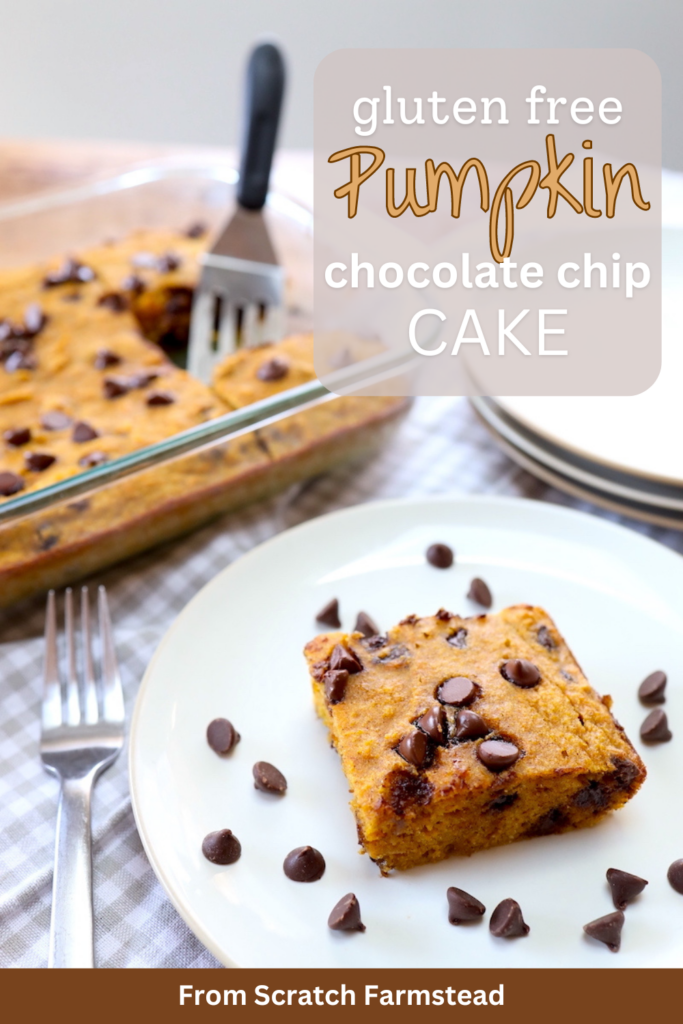 gluten free pumpkin chocolate chip cake recipe