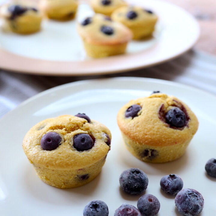 quick blueberry blender muffins recipe