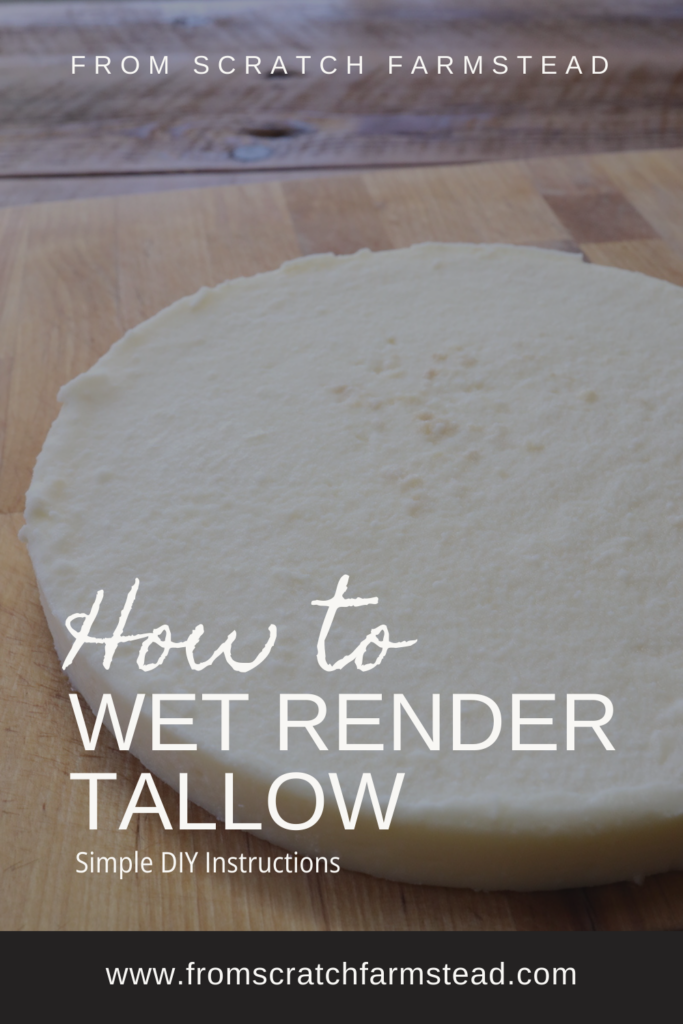how to wet render tallow