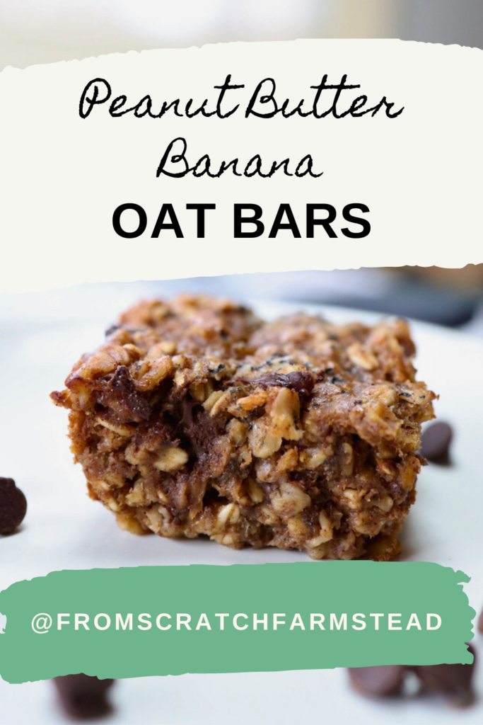 PB Banana Oat Bars