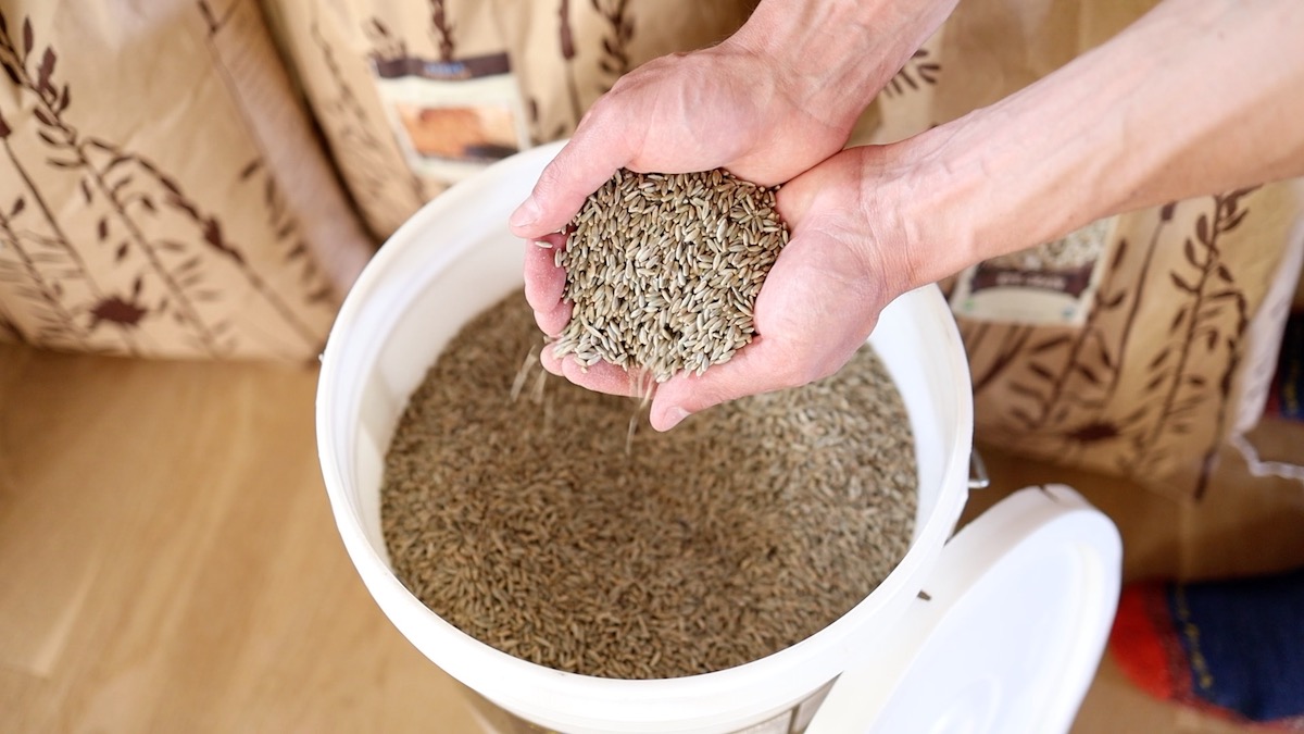 storing grains in food grade buckets