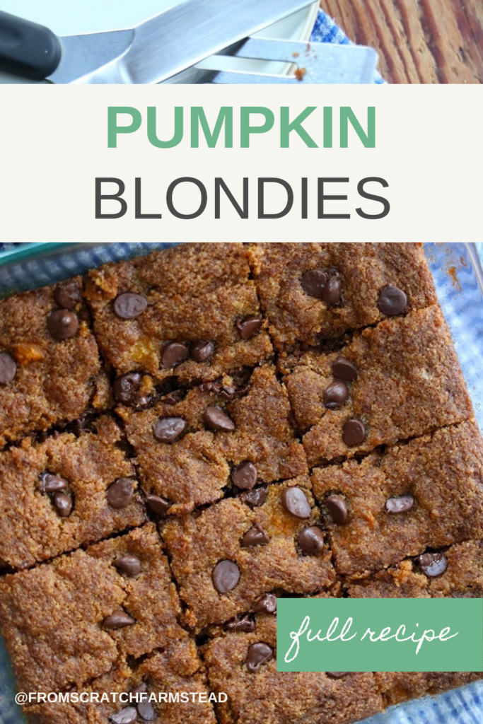 Pumpkin Blondies Pin