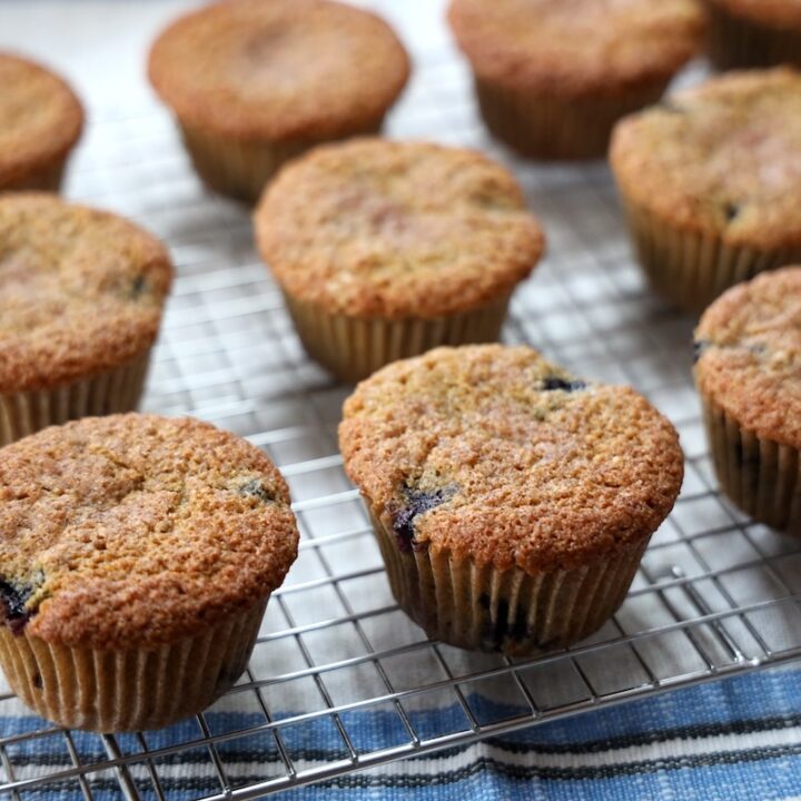 best discard sourdough blueberry muffin recipe