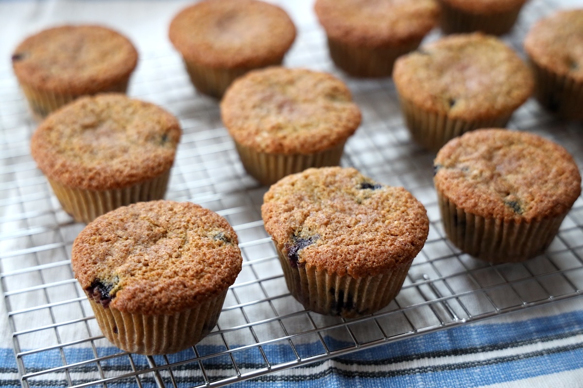 best discard sourdough blueberry muffin recipe