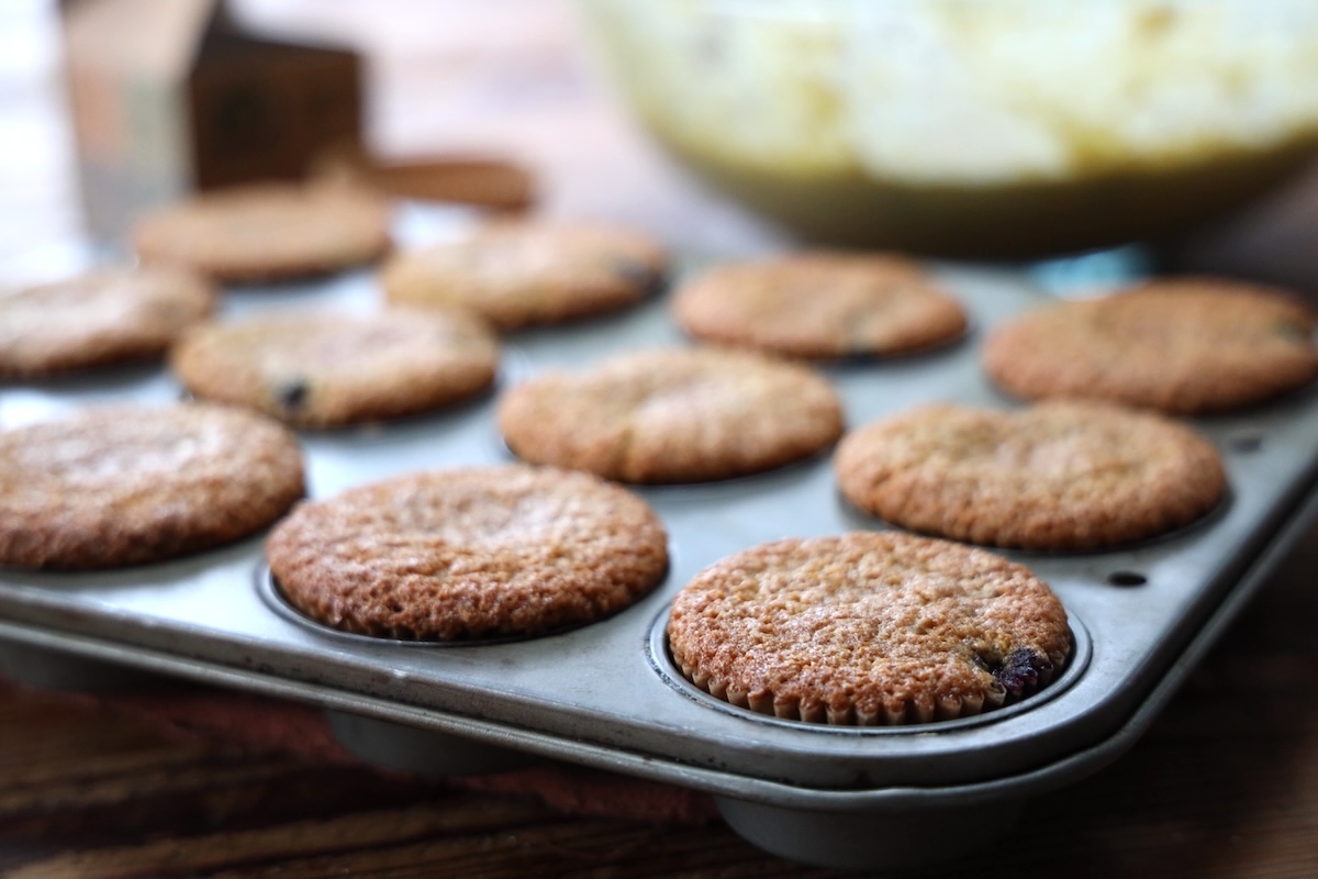 discard sourdough blueberry muffins recipes