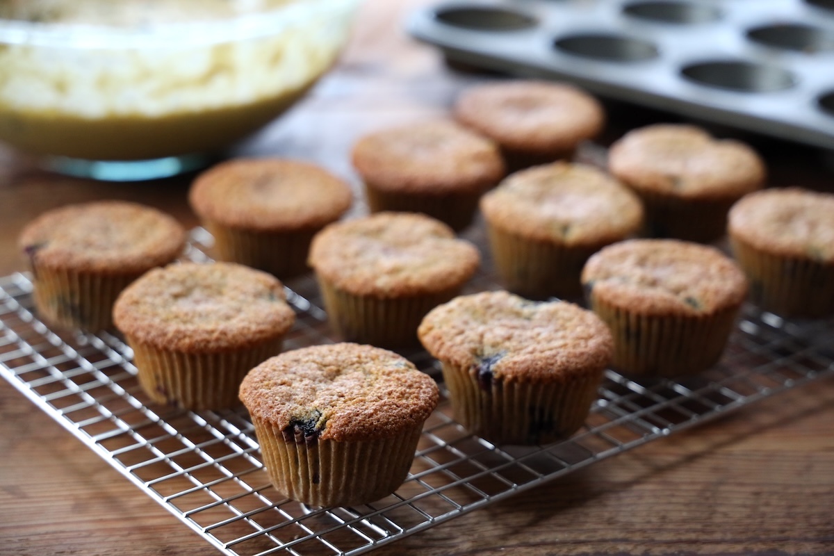 from scratch sourdough discard blueberry muffins