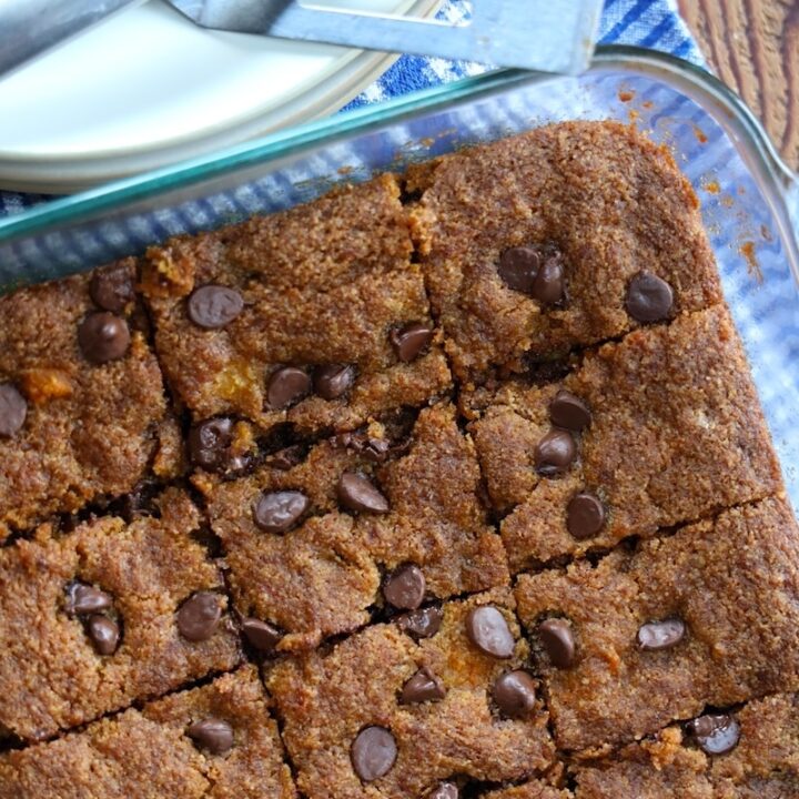 homemade gluten free pumpkin blondies