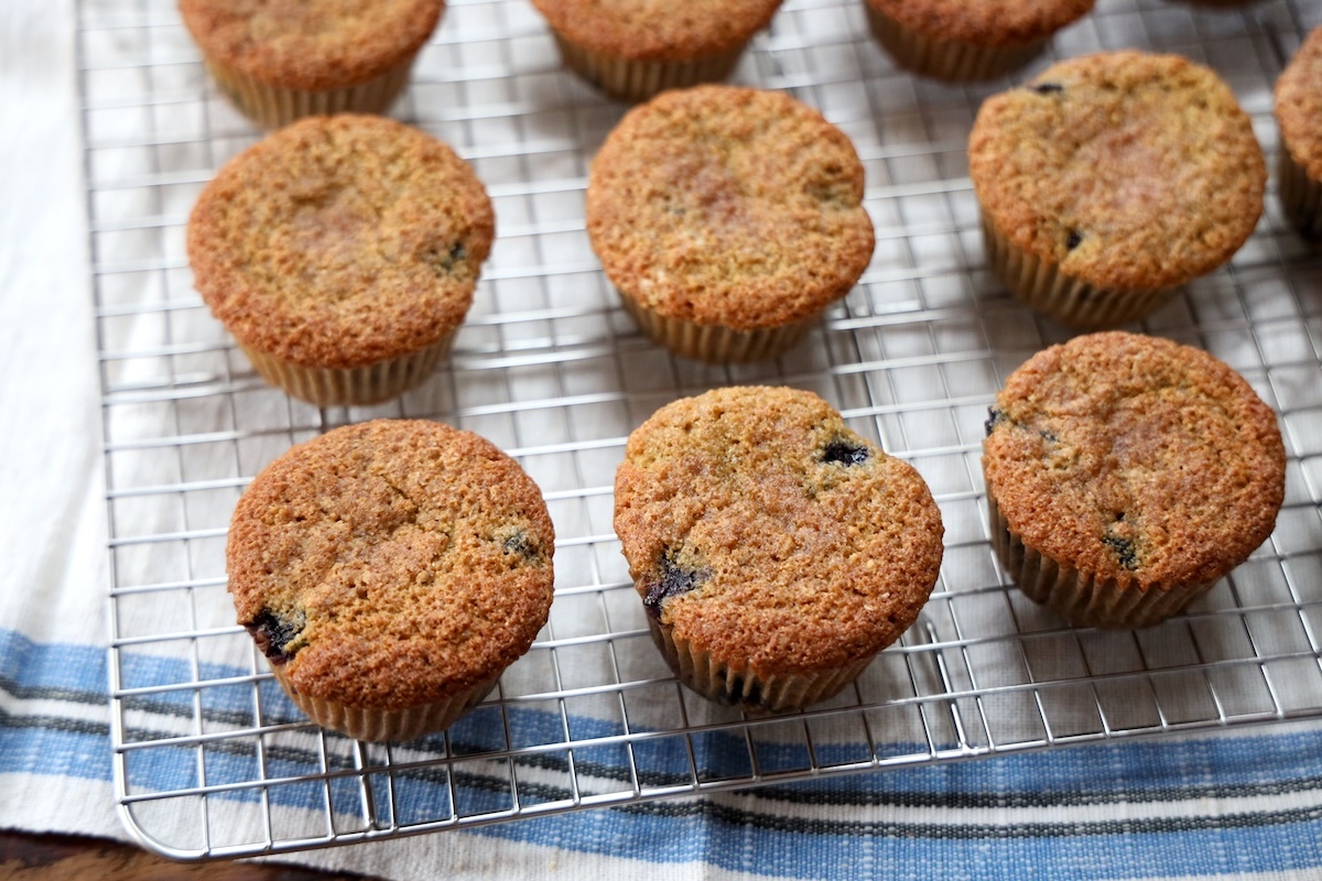 homemade sourdough blueberry muffins