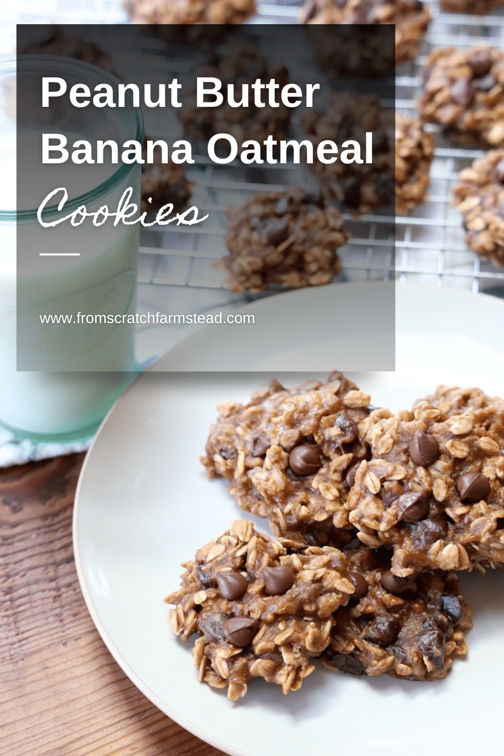 Peanut Butter Banana Oatmeal Cookies