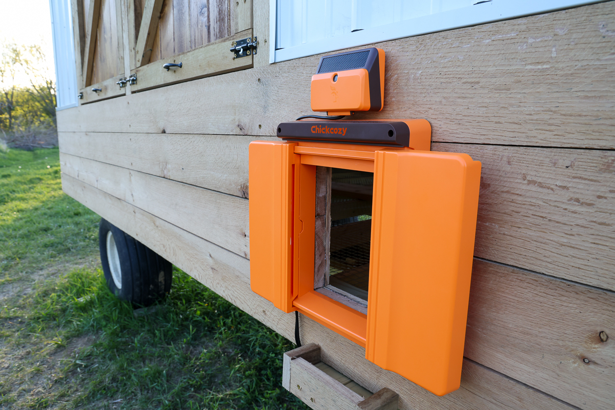 chickcozy automatic solar chicken door