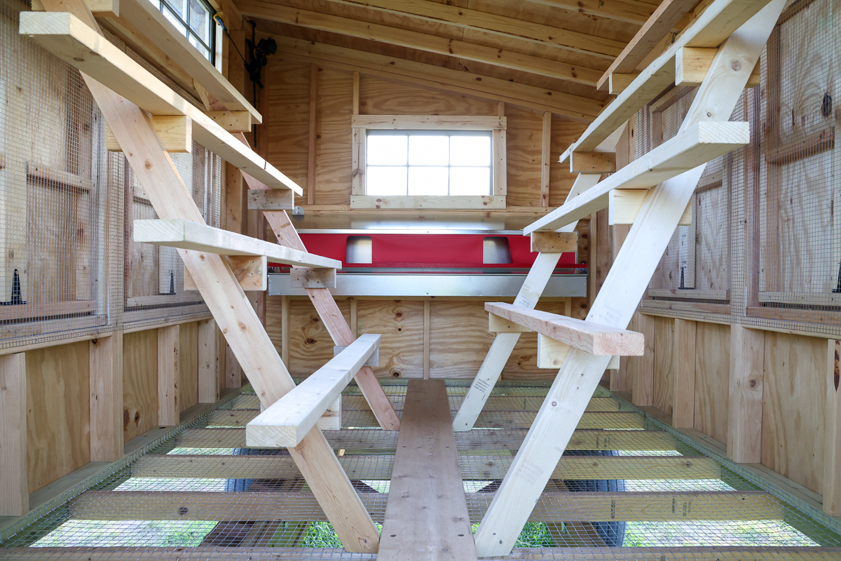 movable chicken coop interior