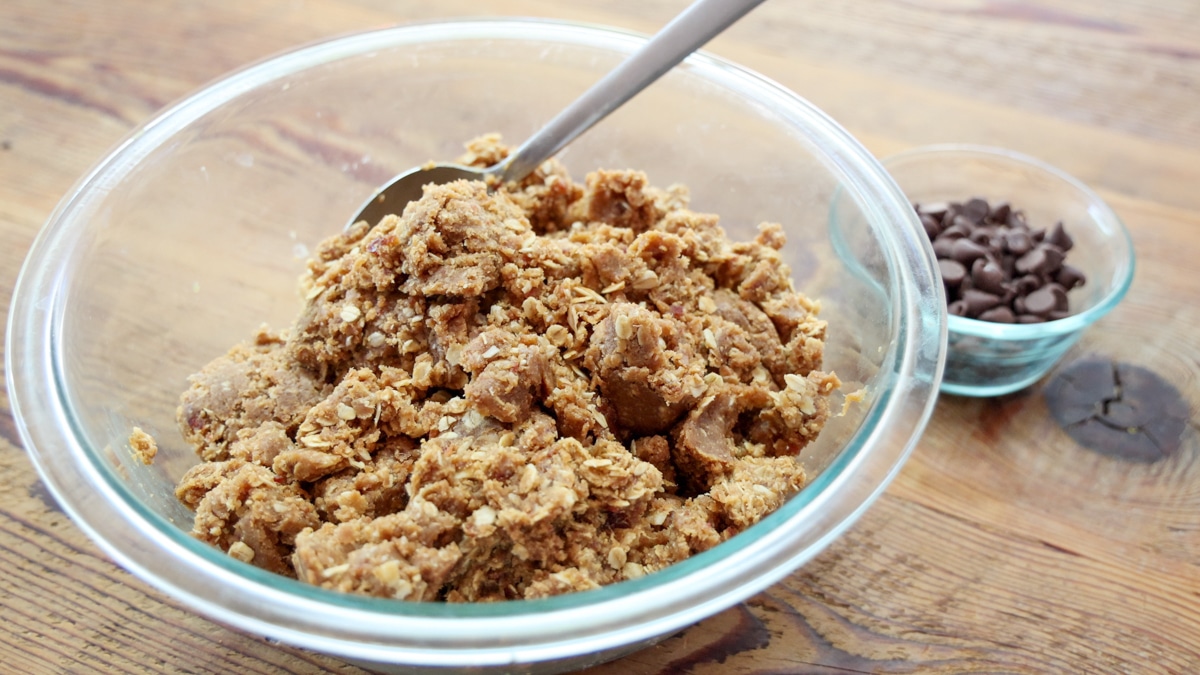 blended mixture for date energy balls