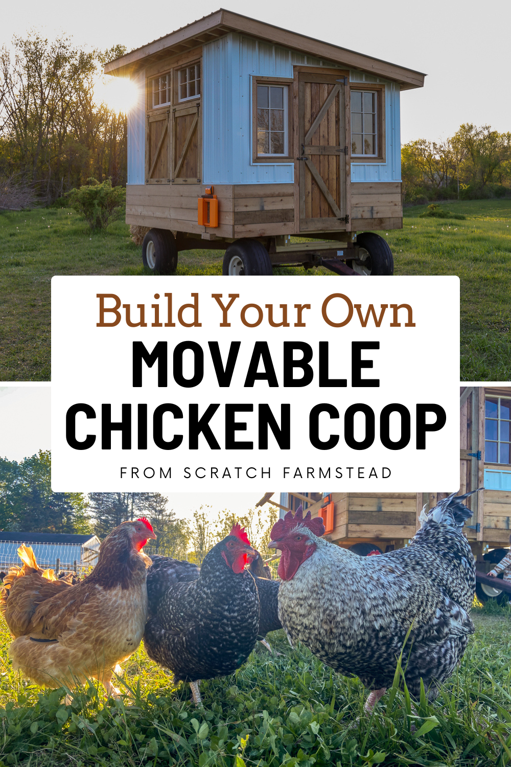 build your own movable chicken coop