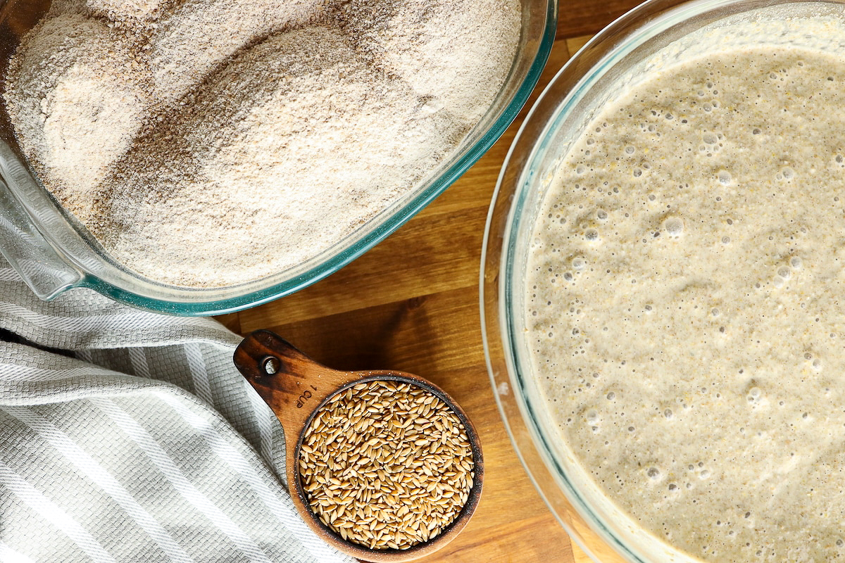 nutrimill harvest grain mill review homemade flour