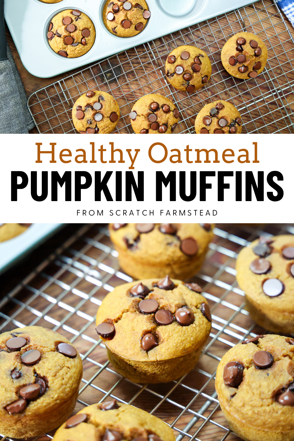 healthy oatmeal pumpkin muffins recipe