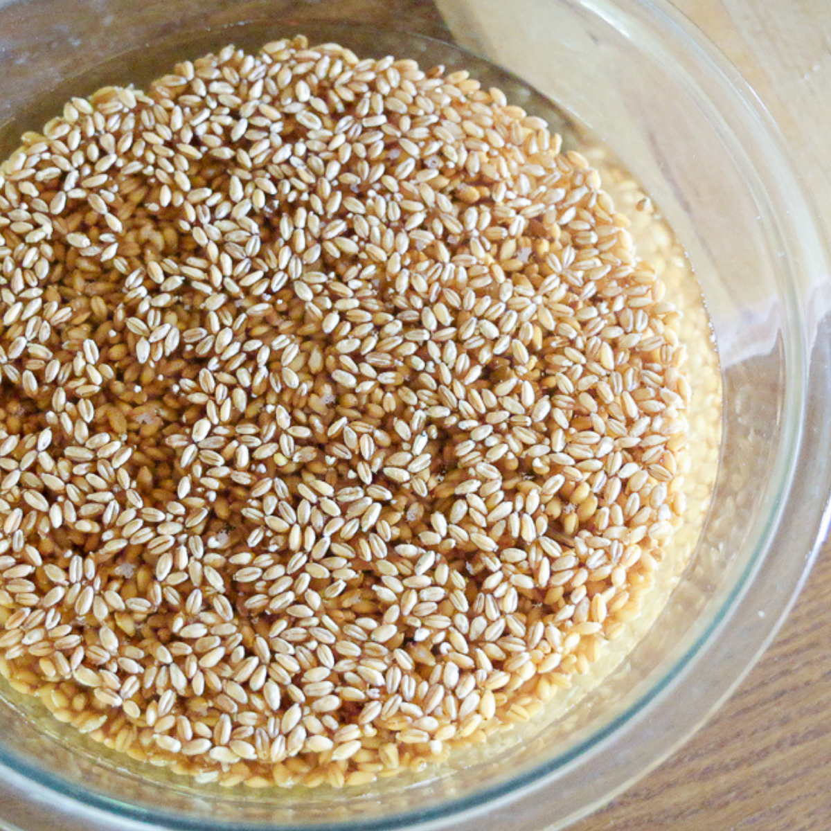 soaking wheat berries for wheat porridge