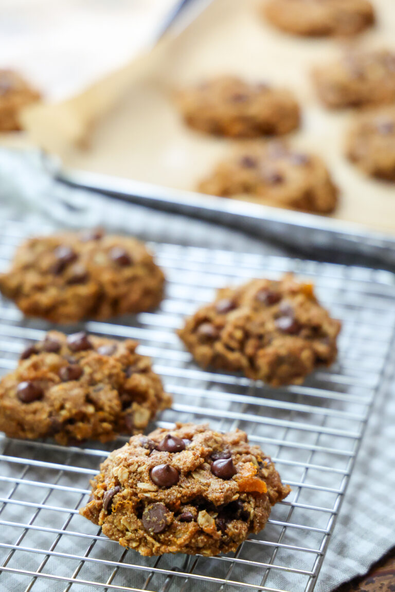 oatmeal pumpkin cookies recipe with chocolate chips